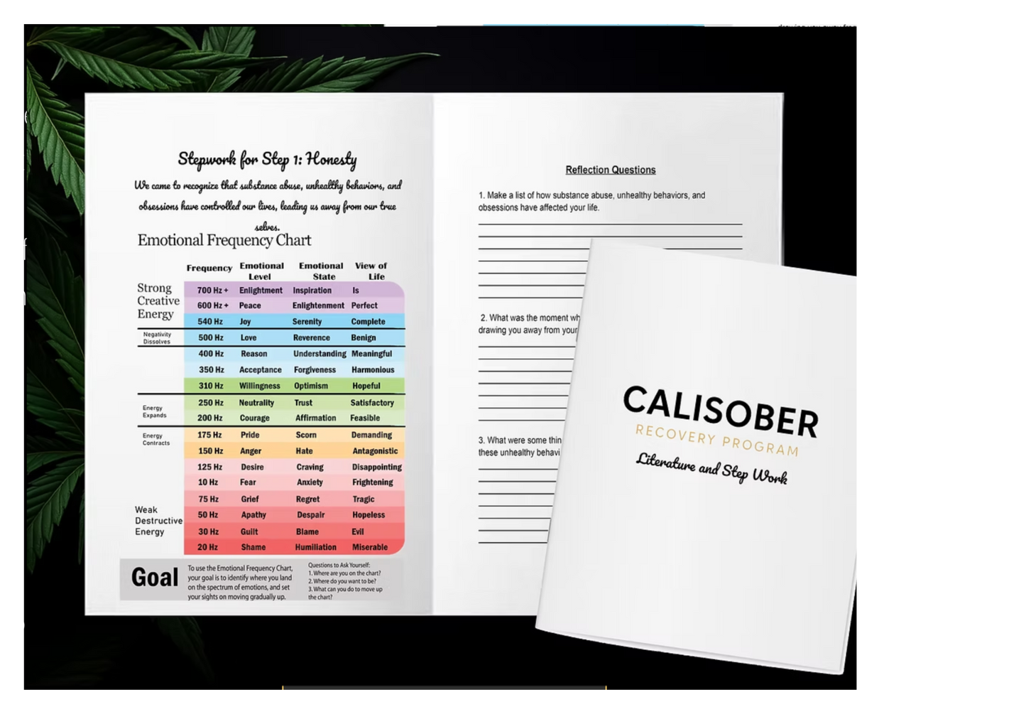 CaliSober Recovery Program - 12 Steps Workbook